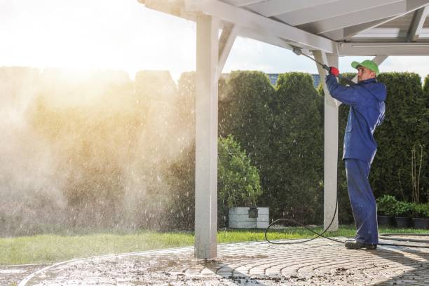 Animal Enclosure Cleaning in Lake Telemark, NJ